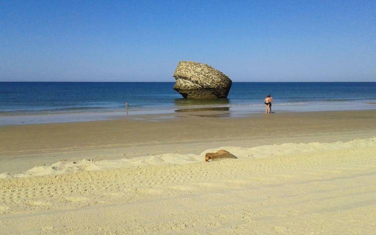 Playa de Matalascañas - Spain