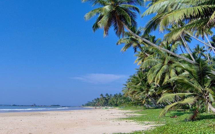 Matara Beach