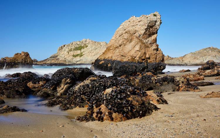 McClures Beach - USA