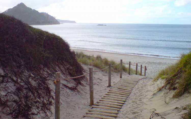 Medlands Beach - New Zealand