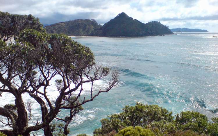 Medlands Beach - New Zealand