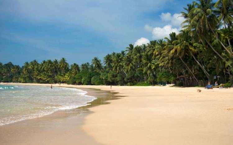 Mirissa Beach