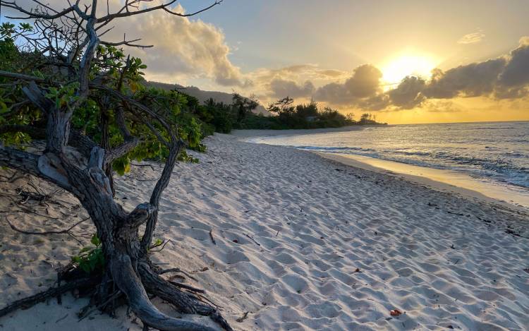 Mokuleia Beach Park - USA