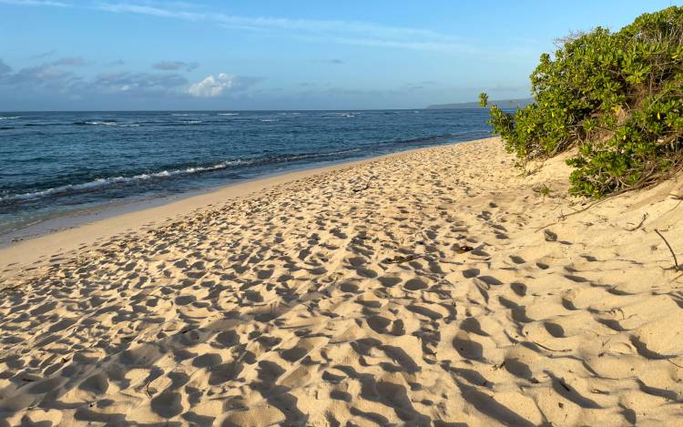 Mokuleia Beach Park - USA