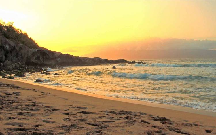 Slaughterhouse Beach - USA