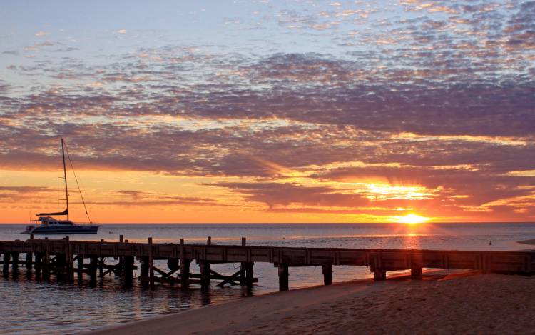 Monkey Mia Beach - Australia