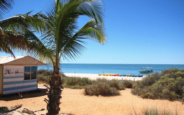 Monkey Mia Beach - Australia