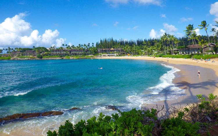 Napili Beach