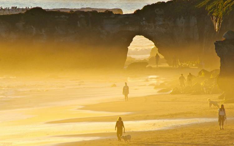 Natural Bridges State Beach