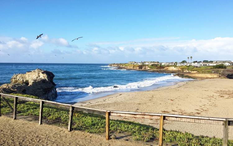 Natural Bridges State Beach - USA