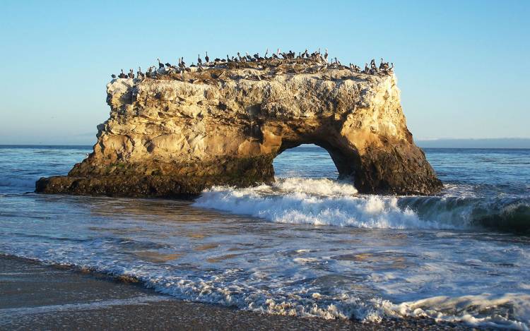 Natural Bridges State Beach - USA