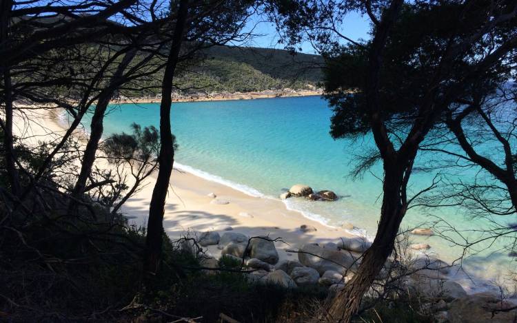 Waterloo Bay - Australia