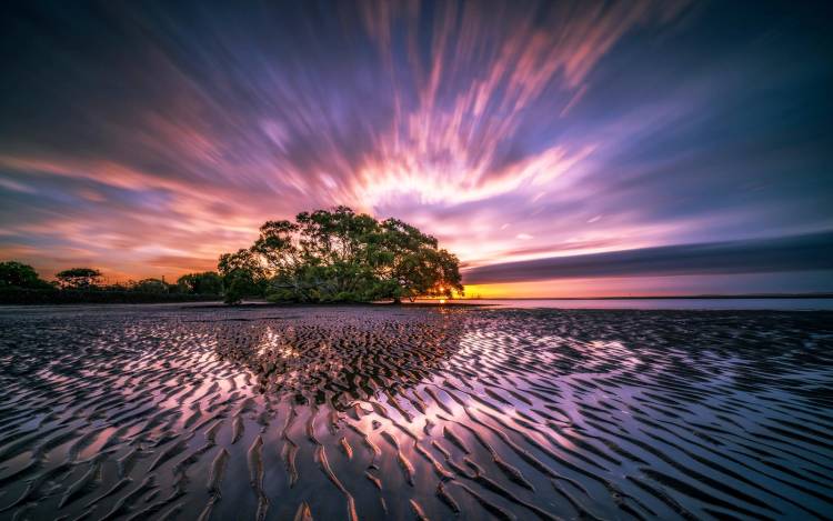 Nudgee Beach
