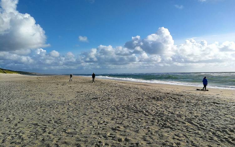 Nymindegab Strand - Denmark