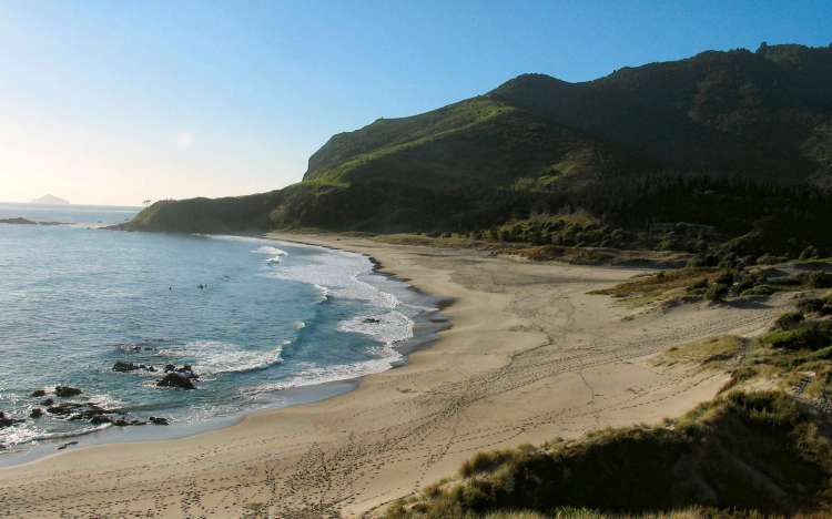 Ocean Beach - New Zealand