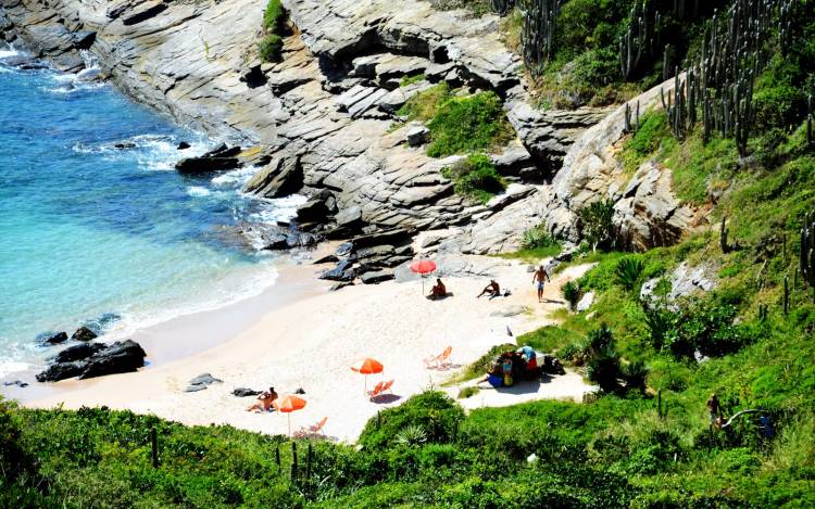 Two alluring women are relaxing on the nudist beach