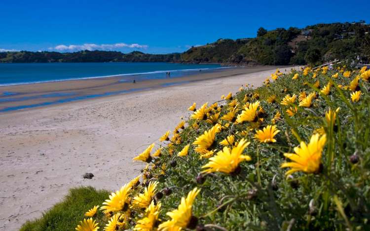 Onetangi Beach