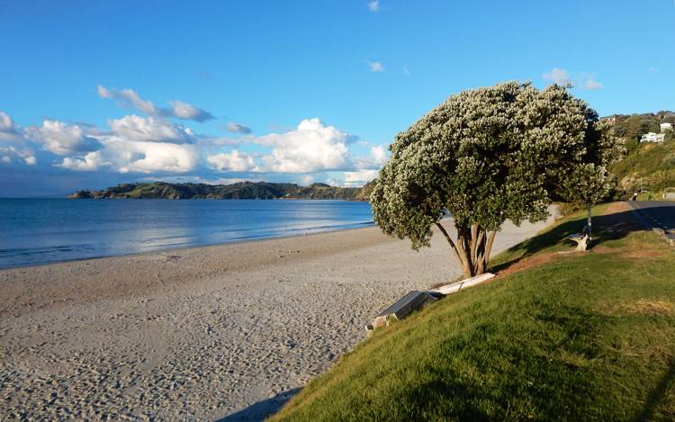 Onetangi Beach - New Zealand