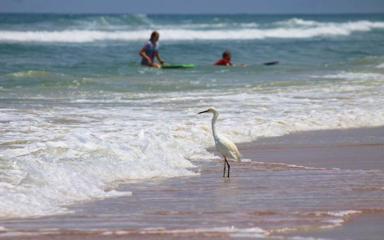 Ormond Beach - USA