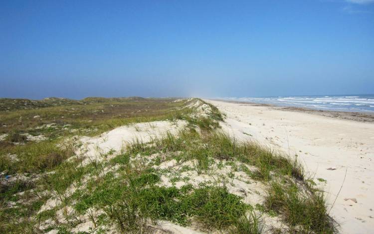 Padre Island National Seashore Beach - USA