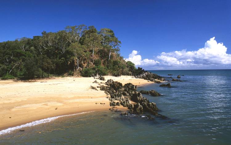 Palm Cove - Australia