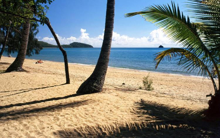 Palm Cove