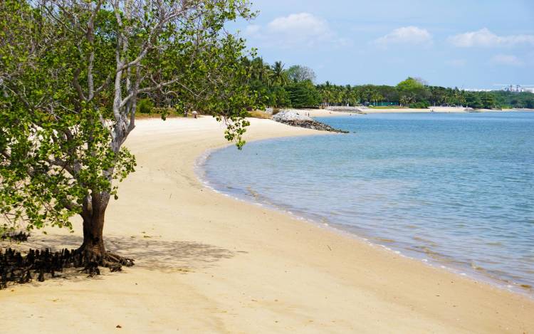 Pasir Ris Beach