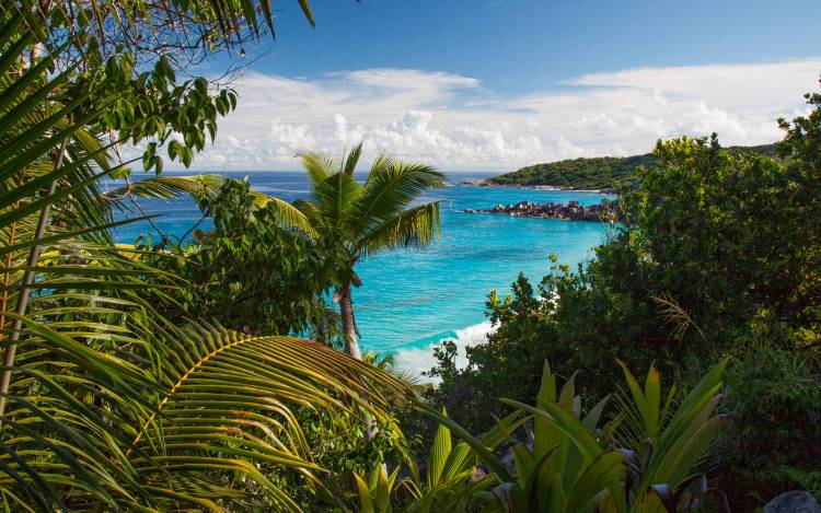 Petite Anse Beach - Seychelles