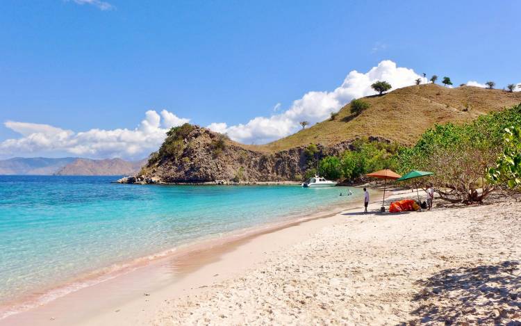 Pink Beach - Indonesia