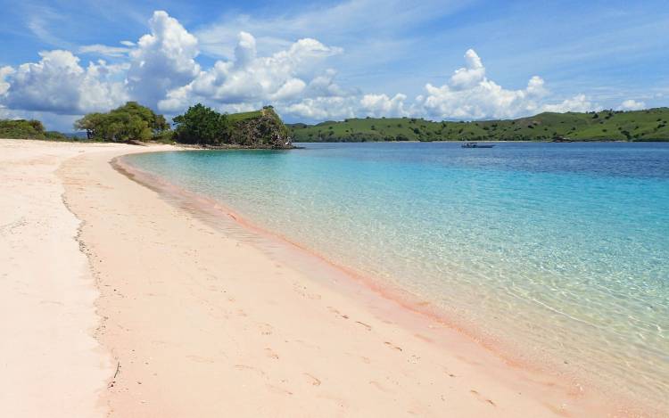 Pink Beach - Indonesia