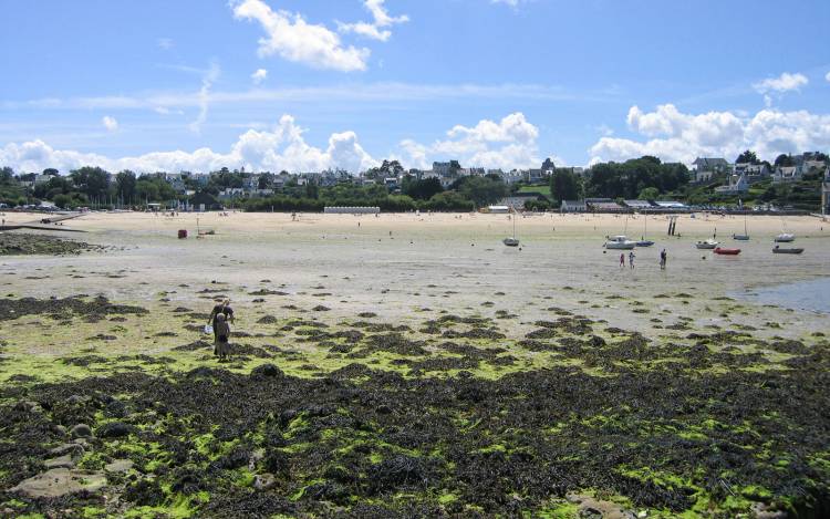 Plage du Kelenn - France