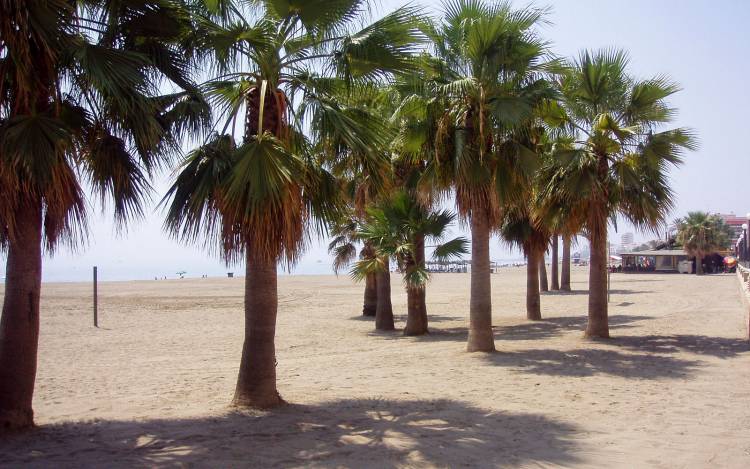 Playa La Rada - Spain