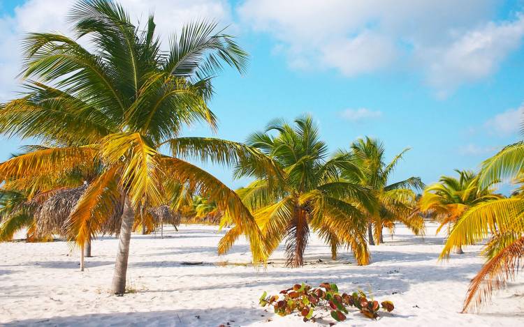 Playa Sirena - The Caribbean