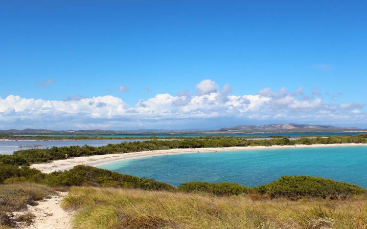 Playa Sucia - USA