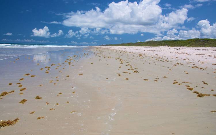 Playalinda Beach