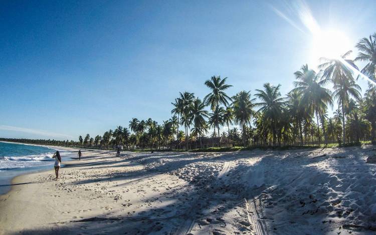 Pôrto de Galinhas Beach - Brazil