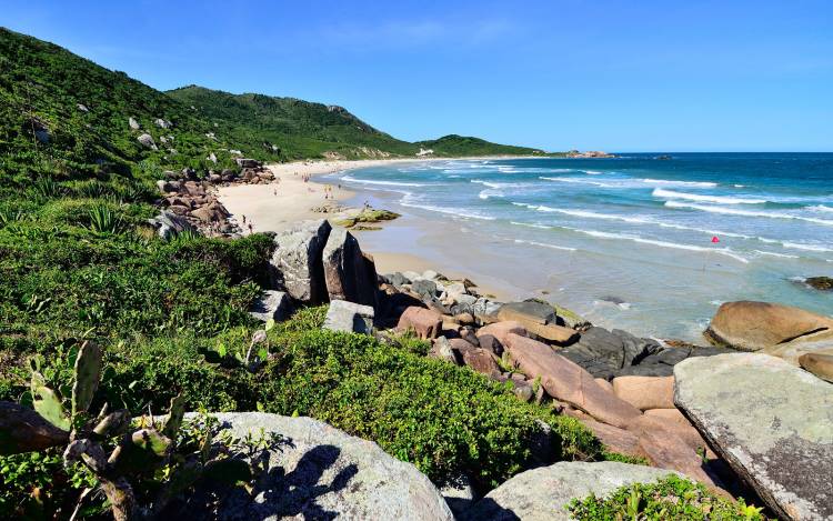 Brazil Family Nudists