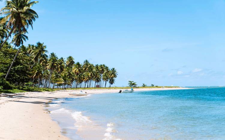 Praia dos Carneiros - Brazil