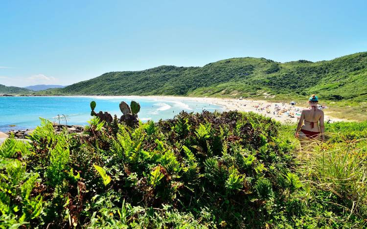 Praia da Galheta - Brazil