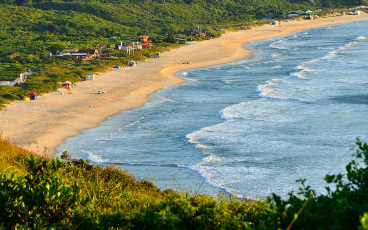 Praia Mole - Brazil