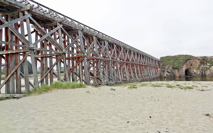 Pudding Creek Beach - USA