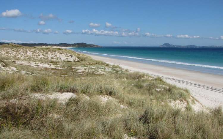 Puwheke Beach - New Zealand