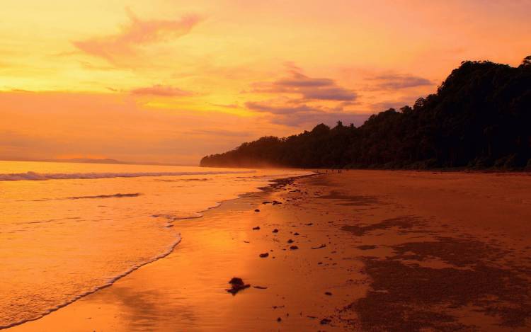 Radhanagar Beach - India