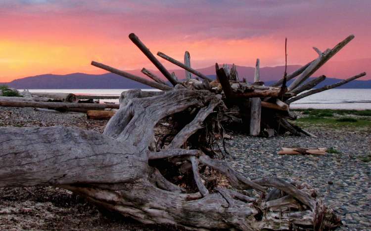 Rathtrevor Beach - Canada