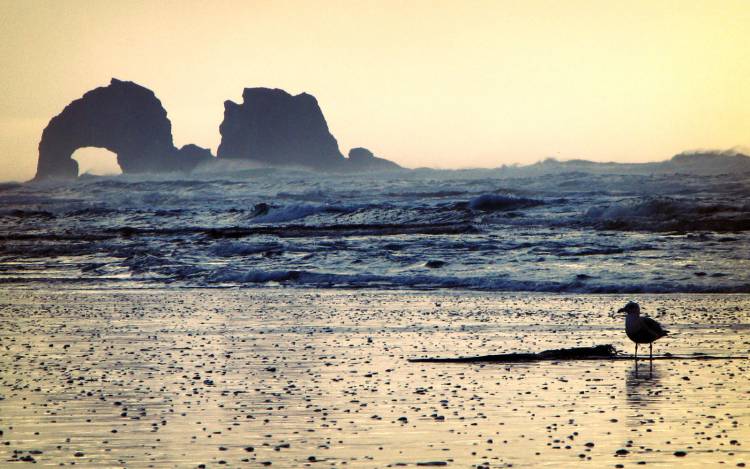 Rockaway Beach - USA