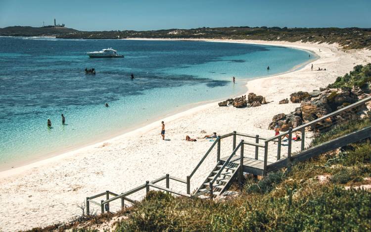 Salmon Bay