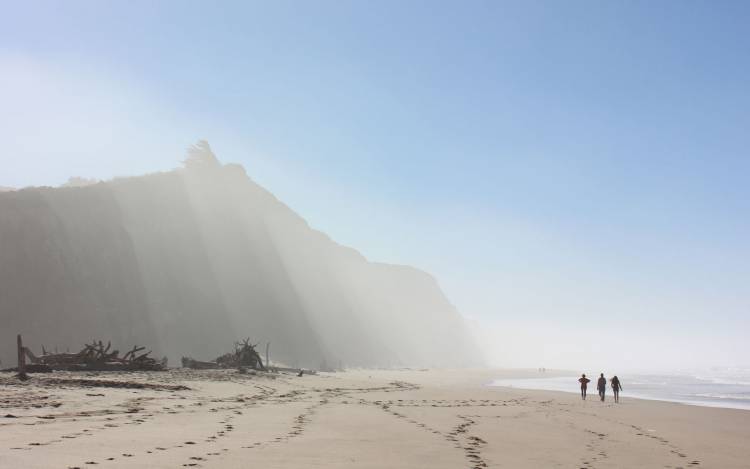 San Gregorio State Beach - USA