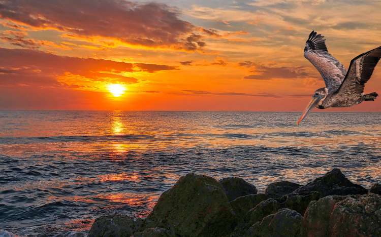 Sanibel Island Beach - USA