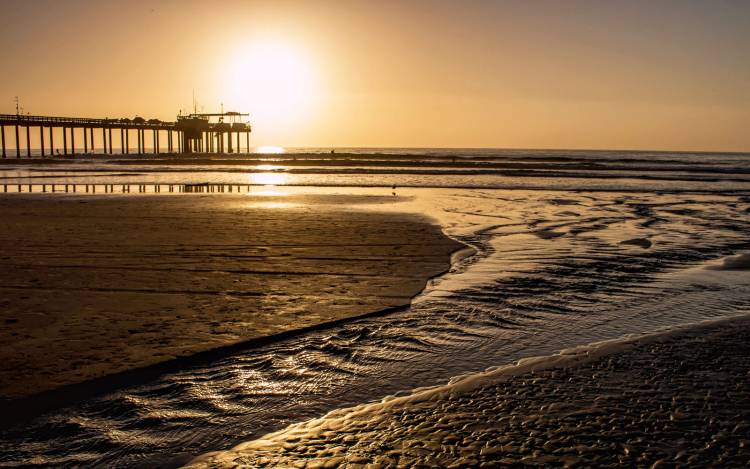 Scripps Beach