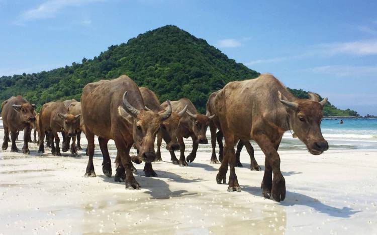 Selong Belanak Beach - Indonesia